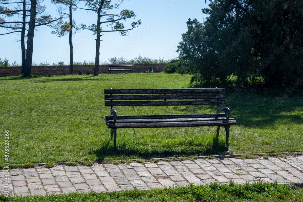 Brown benches for sitting in the city park surrounded by greenery. Benches for rest and relaxation. Brown benches for sitting in the city park surrounded by greenery. Benches for rest and relaxation.