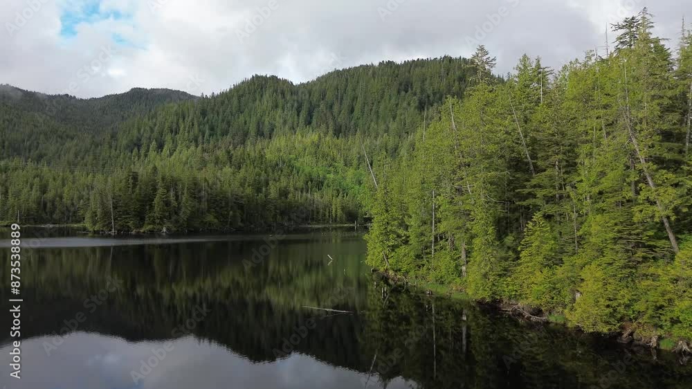 A glassy still pond with reflections in a dense British Columbia forest. Prince Rupert BC, Canada. A glassy still pond with reflections in a dense British Columbia forest. Prince Rupert BC, Canada.