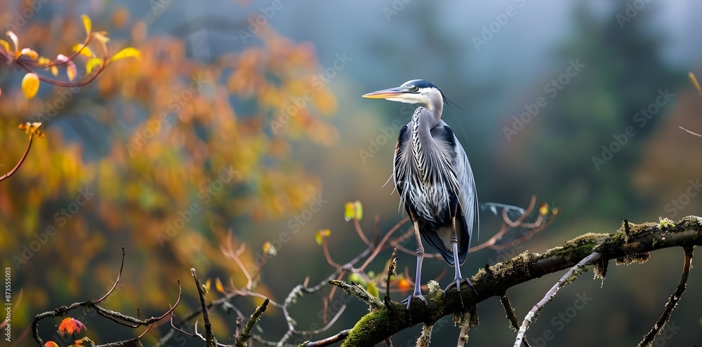Fototapeta premium Bird Wildlife Perched On A Branch In The Wilderness Nature Photography