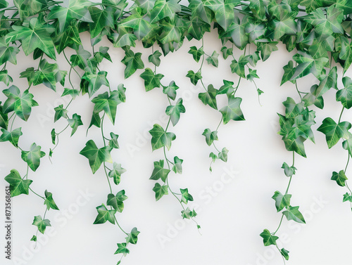 Wallpaper Mural Green Ivy Vines on White Wall:  A vibrant image of lush green ivy vines cascading down a white wall, symbolizing growth, nature, and life's beauty.  Perfect for minimalist, modern. Torontodigital.ca