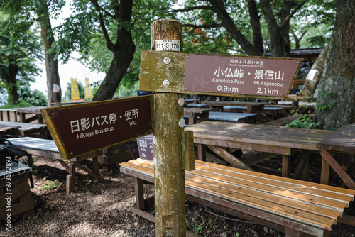 登山道の分岐