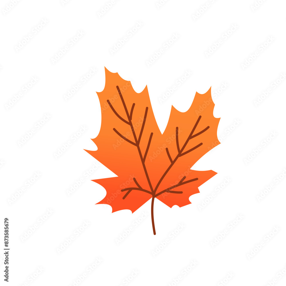 Fototapeta premium autumn maple leaf
