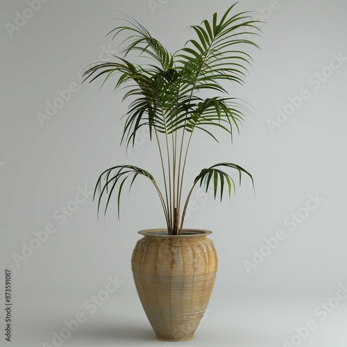 very tall plant pot photography on white background