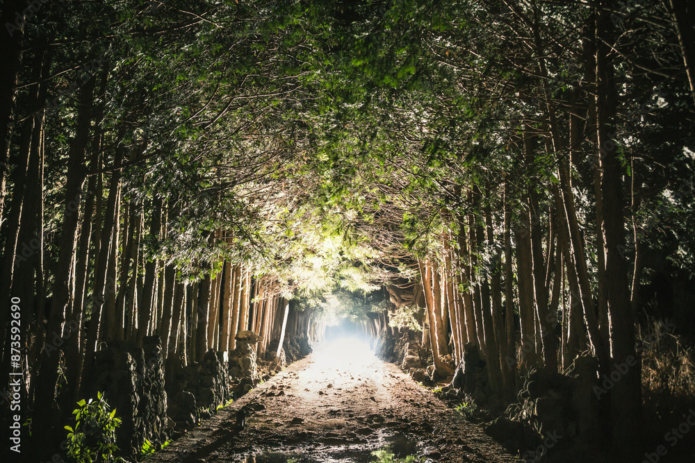 Obraz premium 제주도풍경