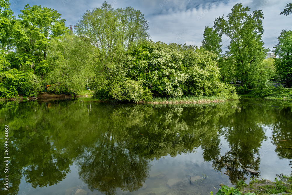Green trees in spring on the riverbank in the city. Green trees in spring on the riverbank in the city.