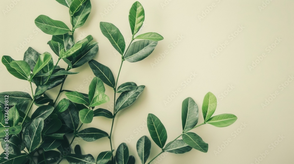 Naklejka premium The vibrant green leaves stand out against the soft beige background, creating a beautiful contrast