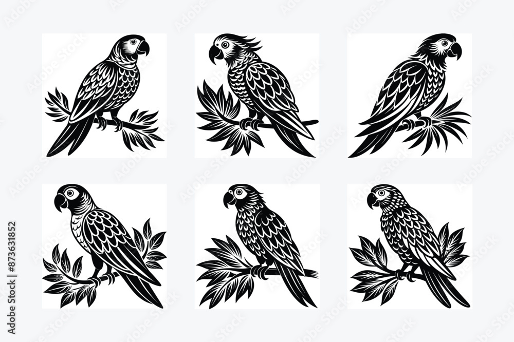 parrot perched Silhouette vector illustration parrot perched Silhouette vector illustration
