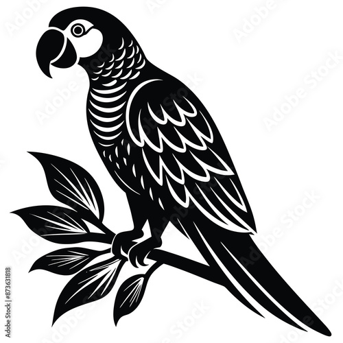 parrot perched Silhouette vector illustration