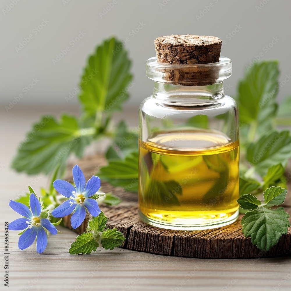 Borage Oil in an elegant glass container, with borage flowers and leaves, on a rustic wooden surface, photorealistic and natural beauty Borage Oil in an elegant glass container, with borage flowers and leaves, on a rustic wooden surface, photorealistic and natural beauty