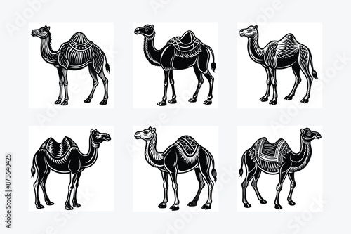 Camel animal  Silhouette vector illustration
