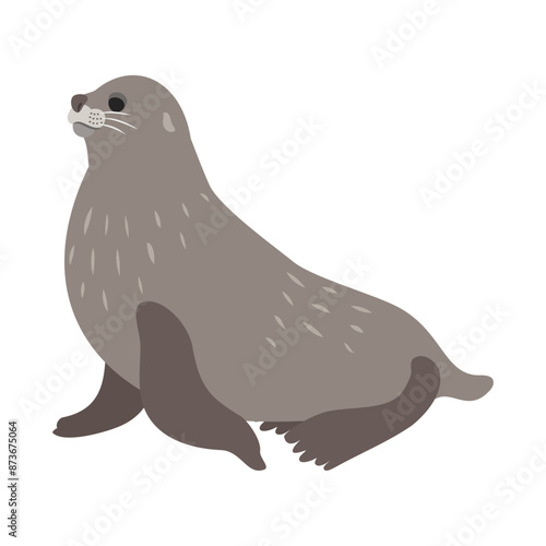 ナンキョクオットセイ。フラットなベクターイラスト。
Antarctic fur seal. Flat vector illustration.
