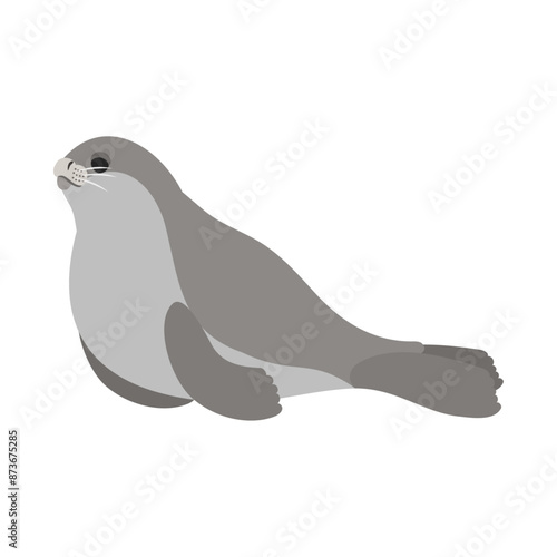 ロスアザラシ。フラットなベクターイラスト。
Ross seal. Flat vector illustration.
