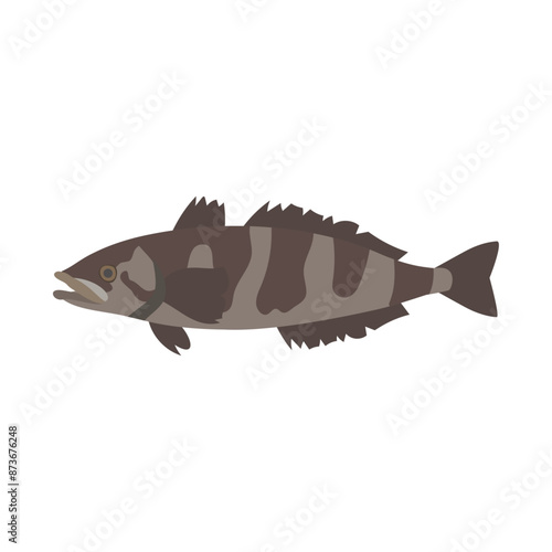 ライギョダマシ。フラットなベクターイラスト。
Antarctic toothfish (Antarctic cod). Flat vector illustration.