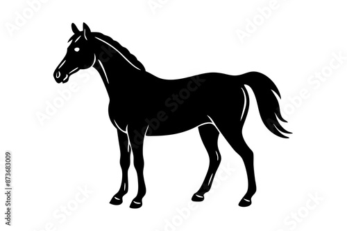 Horse silhouette  vector illustration  © Sumondesigner_42