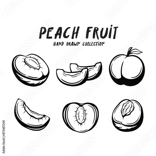 Peach fruit hand drawn concept on white background