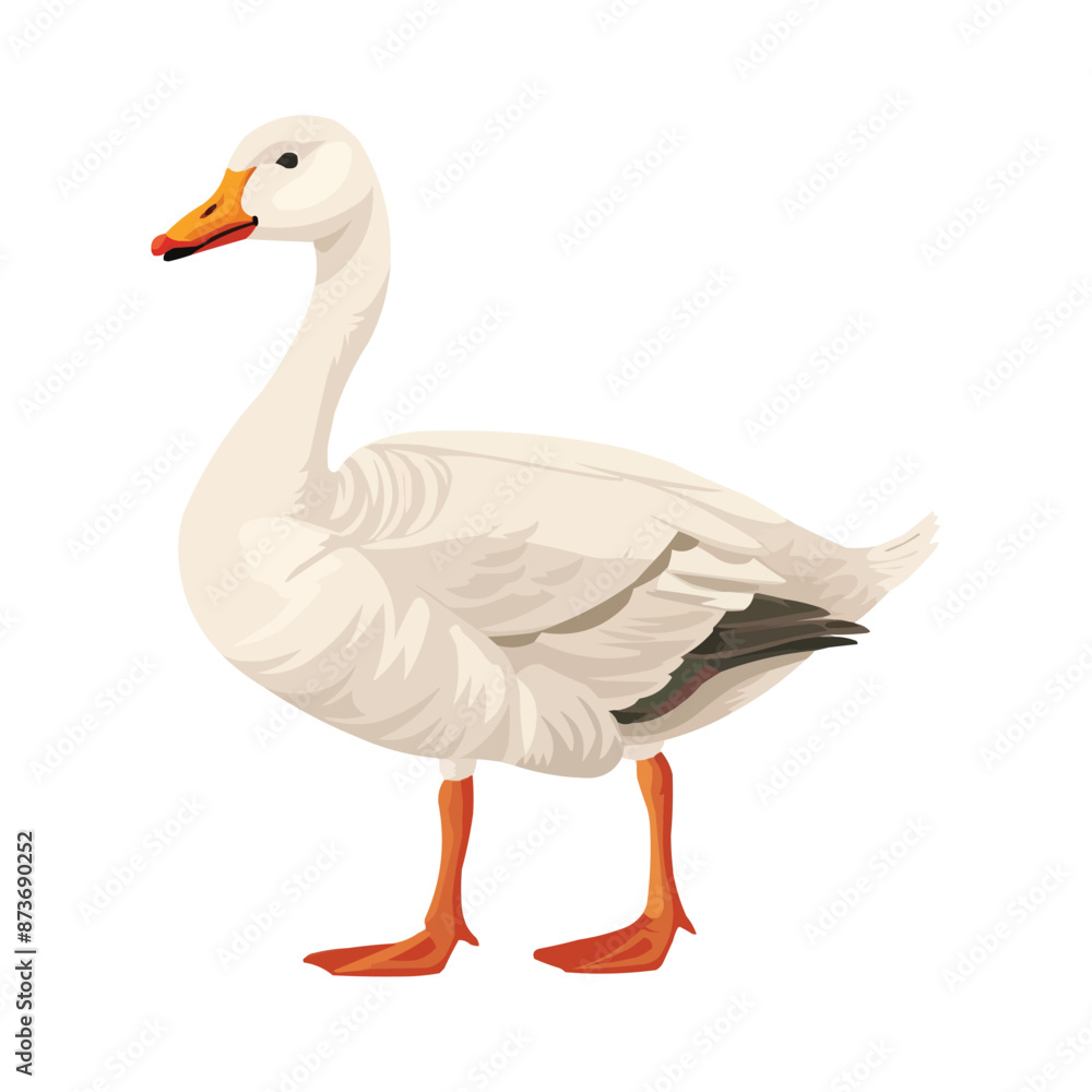 Cartoon cute goose isolated on white solid background Cartoon cute goose isolated on white solid background