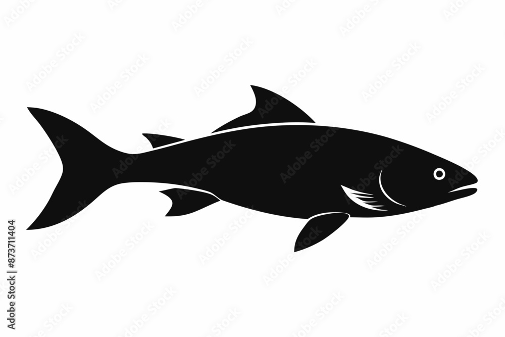 Salmon vector illustration, fish isolated on white, Salmon silhouette, Salmon vector art Salmon vector illustration, fish isolated on white, Salmon silhouette, Salmon vector art