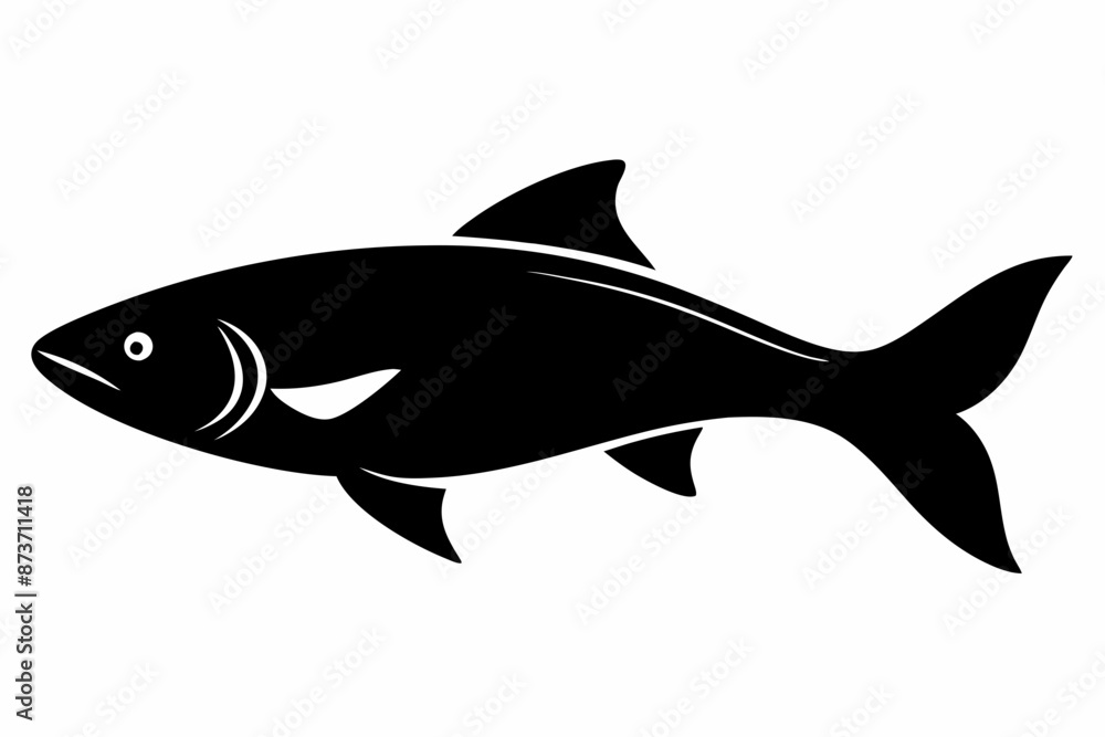 Salmon vector illustration, fish isolated on white, Salmon silhouette, Salmon vector art Salmon vector illustration, fish isolated on white, Salmon silhouette, Salmon vector art