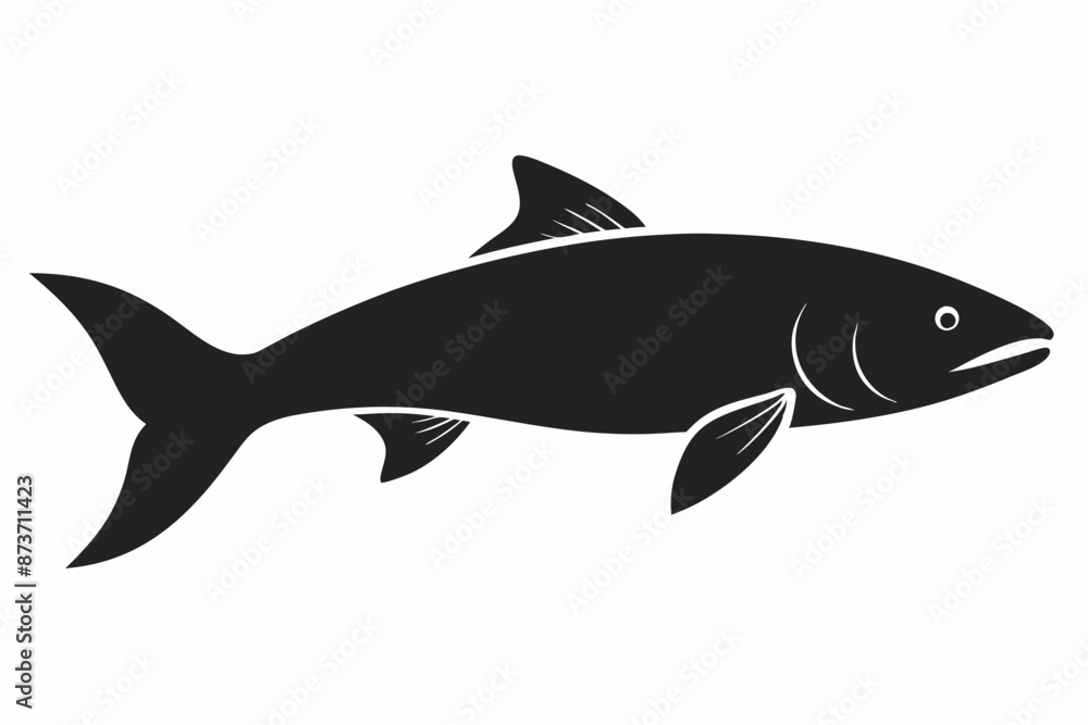 Salmon vector illustration, fish isolated on white, Salmon silhouette, Salmon vector art Salmon vector illustration, fish isolated on white, Salmon silhouette, Salmon vector art