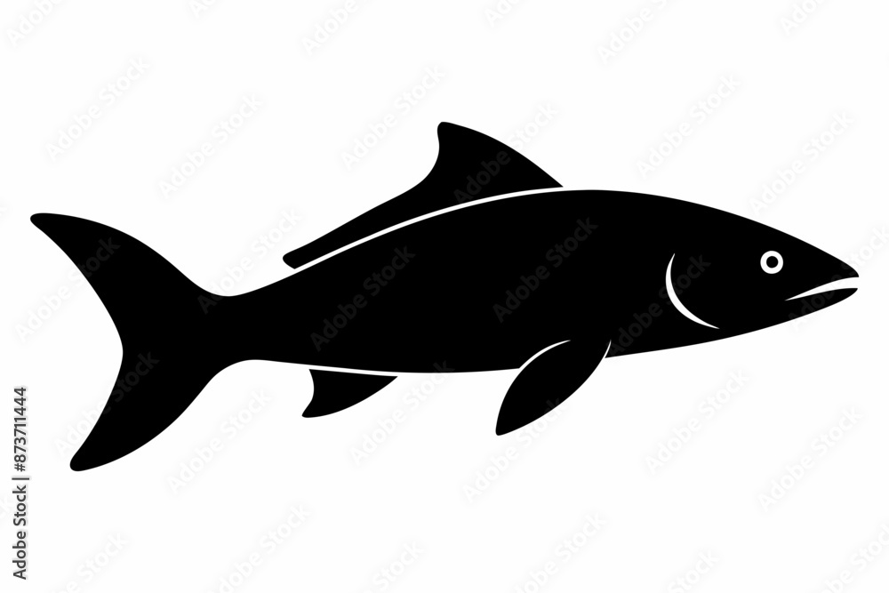 Salmon vector illustration, fish isolated on white, Salmon silhouette, Salmon vector art Salmon vector illustration, fish isolated on white, Salmon silhouette, Salmon vector art