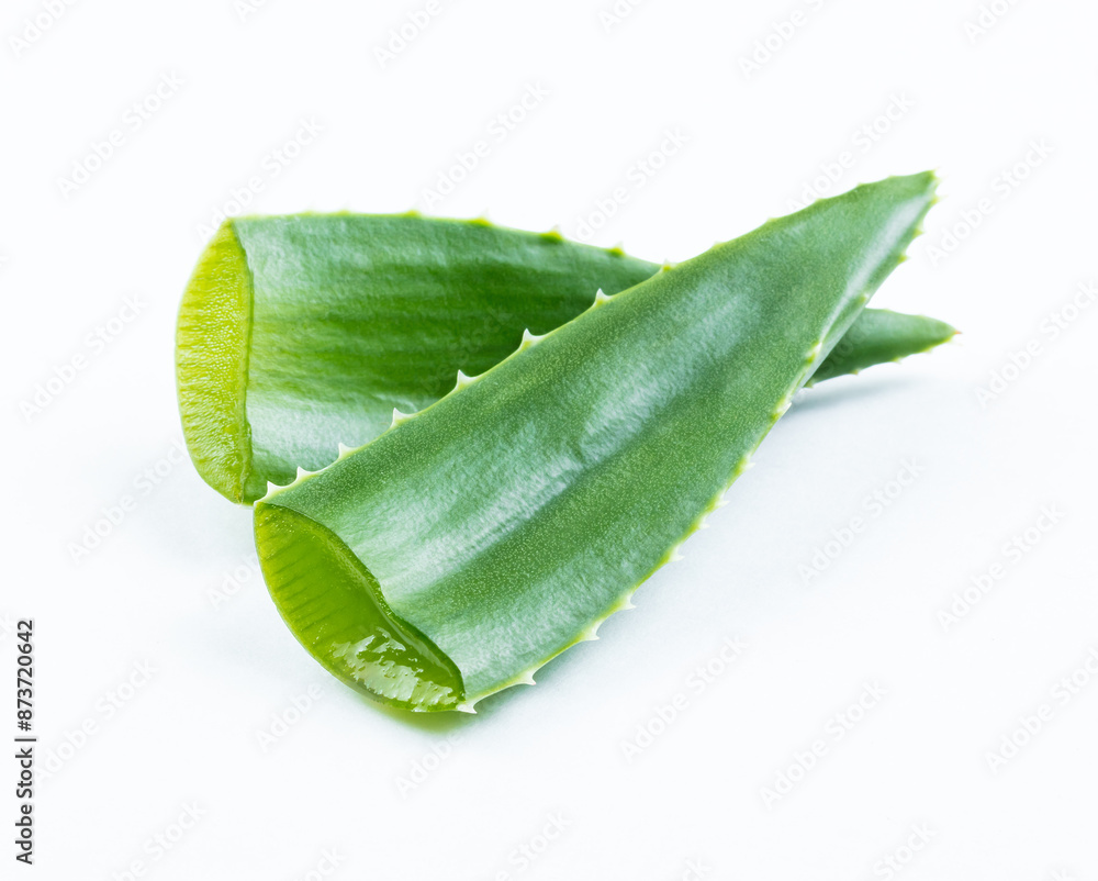 aloe vera fresh leaves laying on white background. Reference for design aloe vera fresh leaves laying on white background. Reference for design