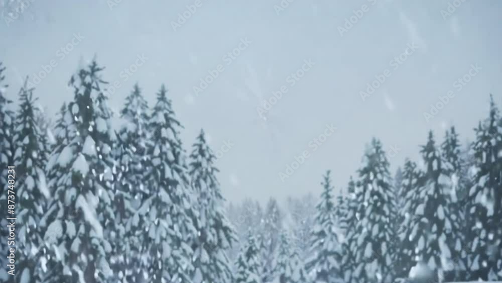 Winter background, snow falling in the forest Winter background, snow falling in the forest