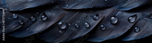 Close-up of dark, textured leaves with water droplets. photo