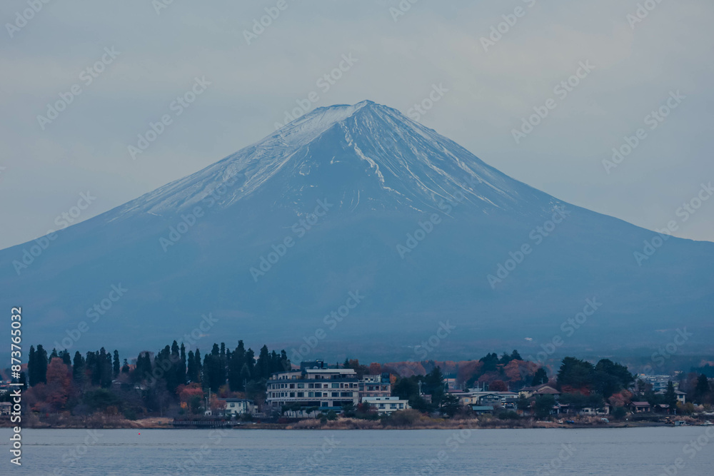   fuji mountain and cherry blossoms