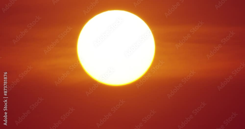 egg in the sun egg in the sun