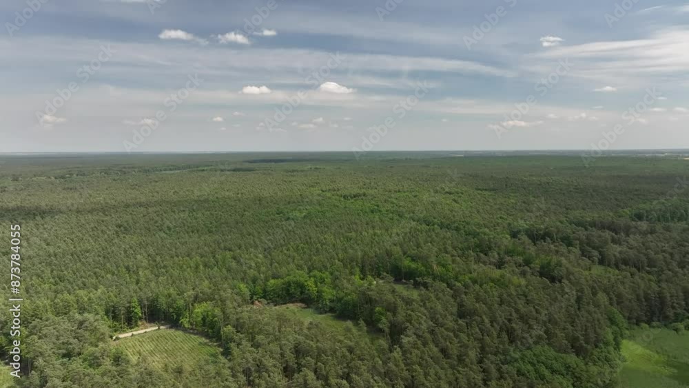 Drone view of a forest in springtime Drone view of a forest in springtime