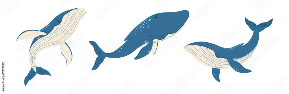 Obraz premium Set of cartoon whales on a white background. Vector illustration of sea creatures in doodle style. Suitable for decoration, sticker design