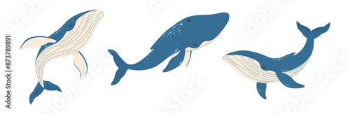 Set of cartoon whales on a white background. Vector illustration of sea creatures in doodle style. Suitable for decoration, sticker design