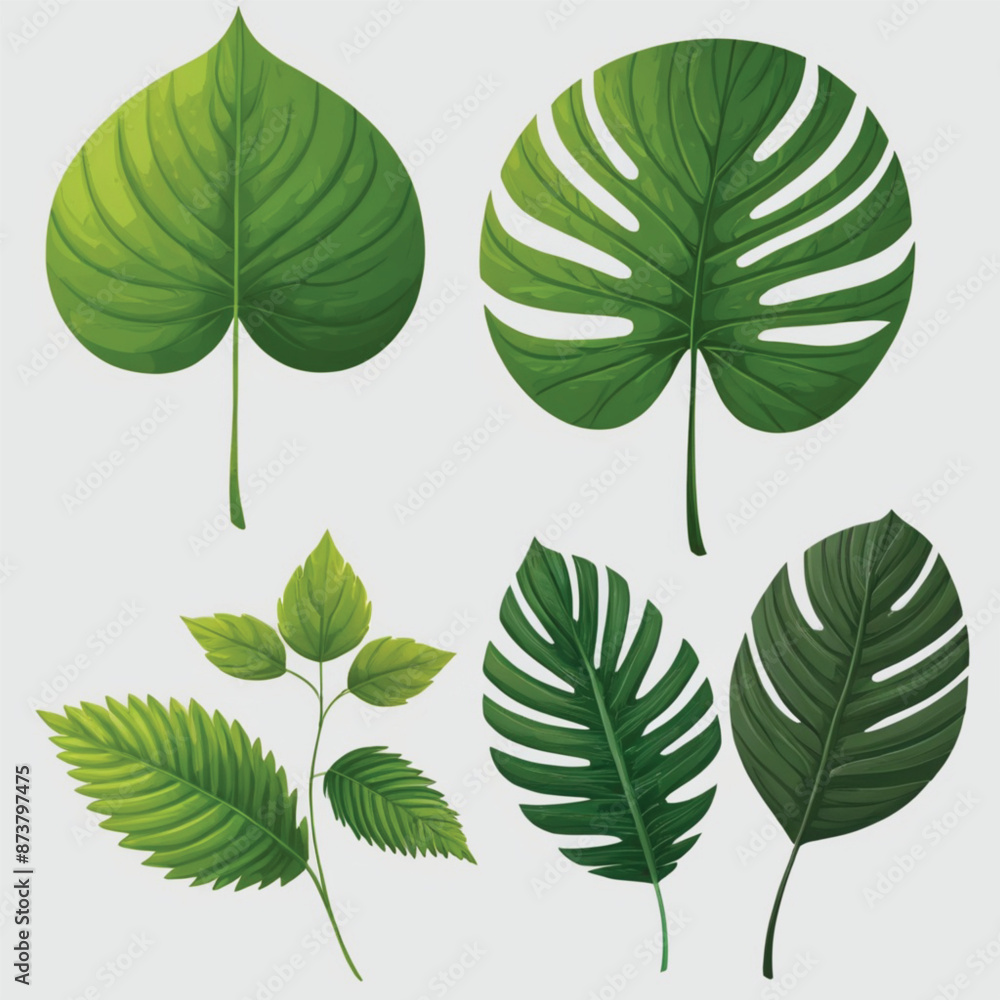 Obraz premium set of green leaves