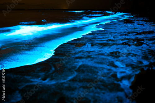 A captivating night scene of bioluminescent algae illuminating the shoreline at Jervis Bay, Australia.
