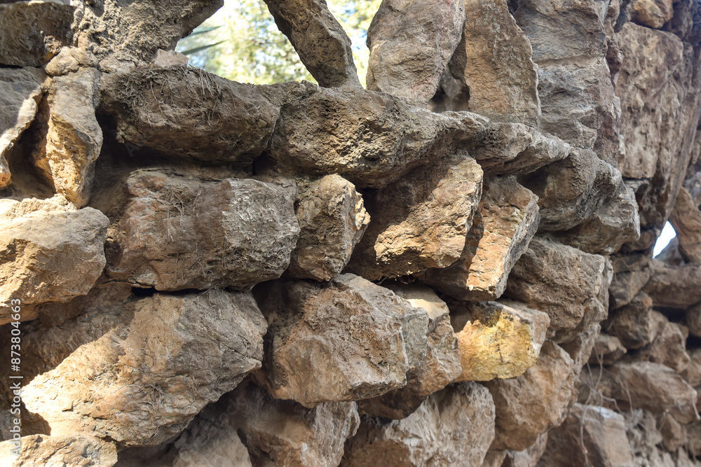 stone wall background with natural pattern and tree shadows