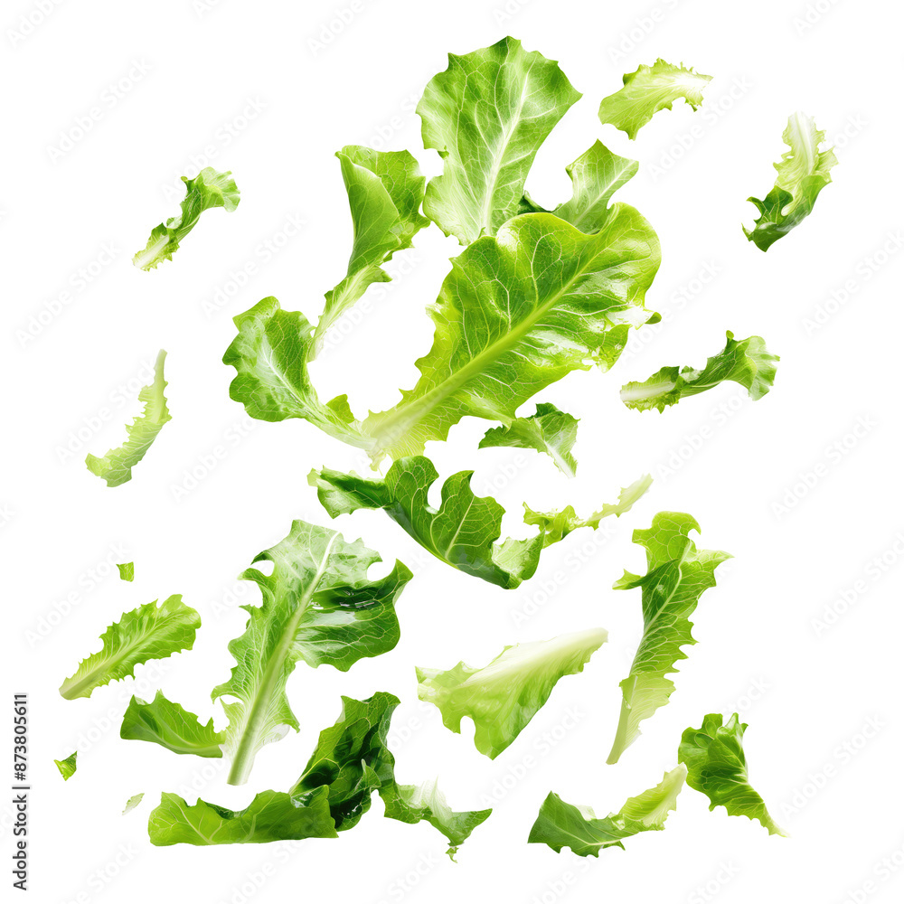 Falling fresh green lettuce salad leaves isolated on transparent white background, clipping path Falling fresh green lettuce salad leaves isolated on transparent white background, clipping path