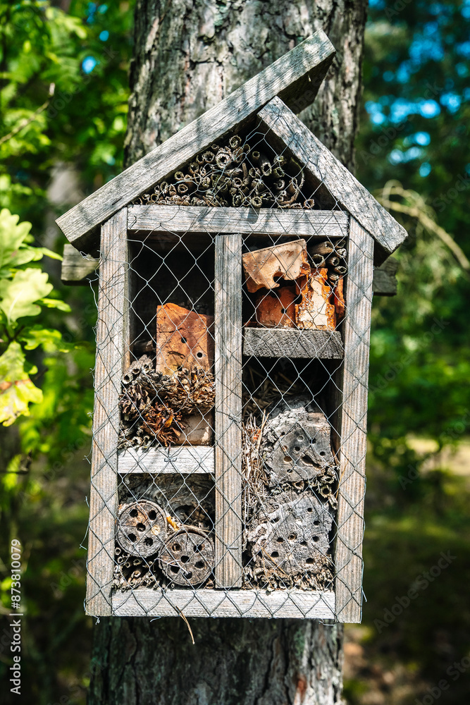 Insect hotel on tree. Insects house in forest. Protection and care of insects. Ecology, environmental protection concept. Insect hotel on tree. Insects house in forest. Protection and care of insects. Ecology, environmental protection concept.