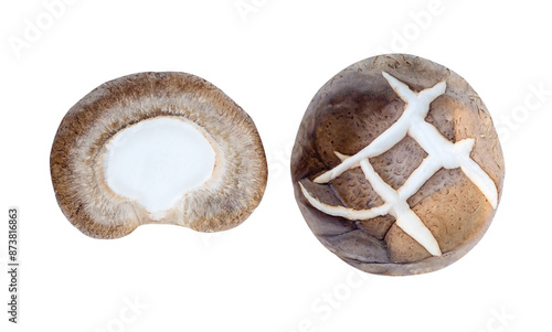 Top view set of fresh shiitake mushroom isolated on white background with clipping path