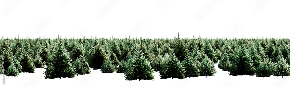 Lush coniferous forest with dense tree cover on transparent background Lush coniferous forest with dense tree cover on transparent background