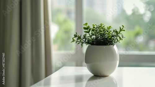 Wallpaper Mural close up pot of plant near window  style color white Torontodigital.ca