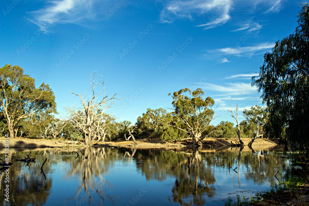 Fototapeta premium reflection of trees in water