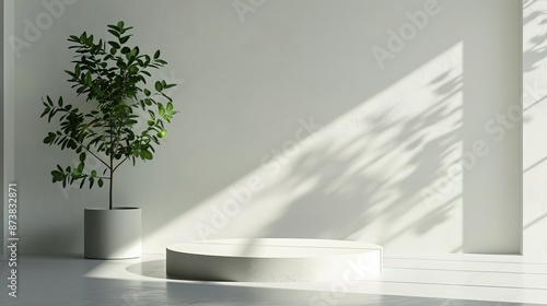 aesthetic podium with perfect background for advertisement