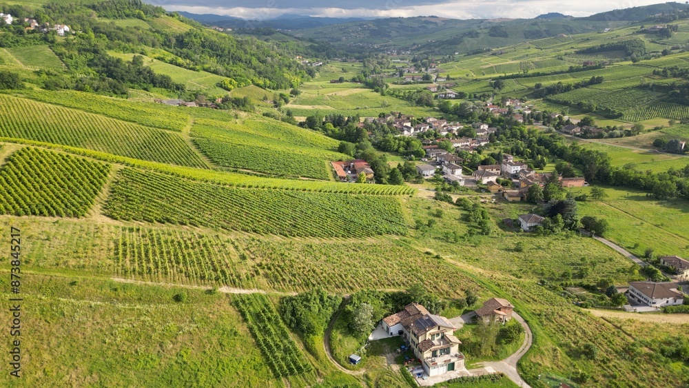Italy , drone view of a countryside landscape with green hills of nature, vineyards of the Tuscan and Lombard Apennines with rows of grapes ready for harvesting for the production of Italian wine