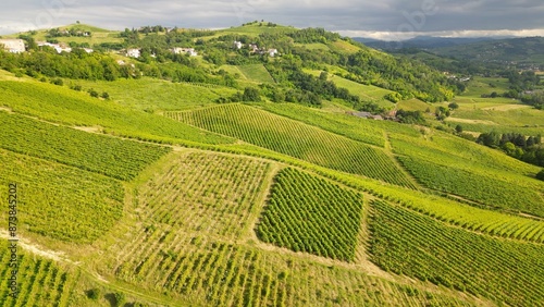 Obraz na płótnie Italy , drone view of a countryside landscape with green hills of nature, vineyards of the Tuscan and Lombard Apennines with rows of grapes ready for harvesting for the production of Italian wine w salonie
