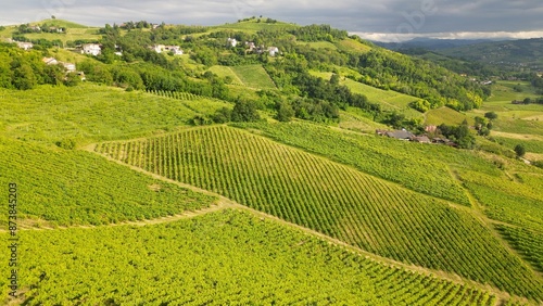 Obraz na płótnie Italy , drone view of a countryside landscape with green hills of nature, vineyards of the Tuscan and Lombard Apennines with rows of grapes ready for harvesting for the production of Italian wine w salonie