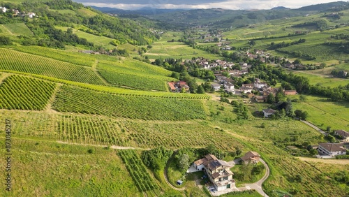 Obraz na płótnie Italy , drone view of a countryside landscape with green hills of nature, vineyards of the Tuscan and Lombard Apennines with rows of grapes ready for harvesting for the production of Italian wine w salonie