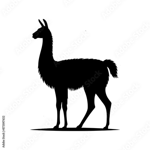 Guanaco Silhouette - Guanaco Vector Design - Minimalist Guanaco Illustration.