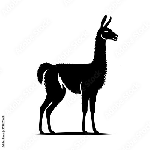 Guanaco Silhouette - Guanaco Vector Design - Minimalist Guanaco Illustration.