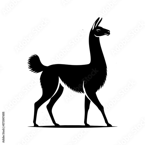 Guanaco Silhouette - Guanaco Vector Design - Minimalist Guanaco Illustration.
