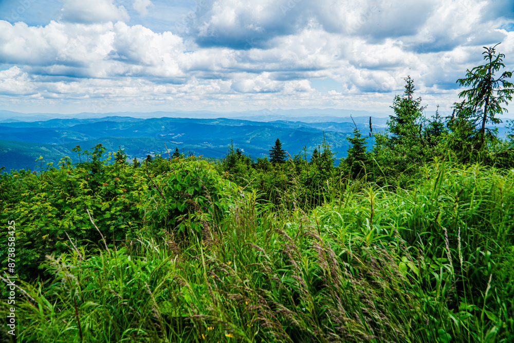 Góry, Beskid Morawsko-Śląski w Czechach, panorama ze szczytu Łysej Góry latem.
